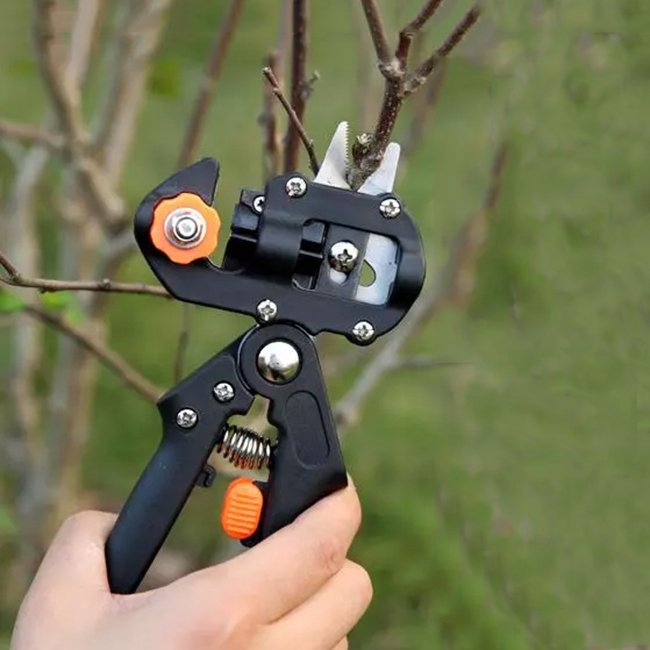 Tree Grafting Cutting Tool
